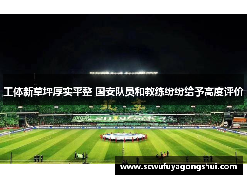 工体新草坪厚实平整 国安队员和教练纷纷给予高度评价