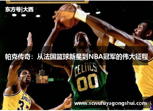 帕克传奇：从法国篮球新星到NBA冠军的伟大征程