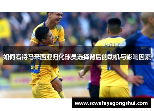 如何看待马来西亚归化球员选择背后的动机与影响因素