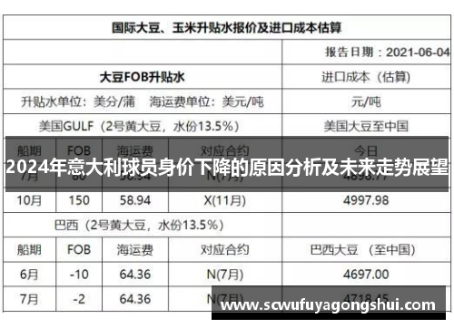 2024年意大利球员身价下降的原因分析及未来走势展望