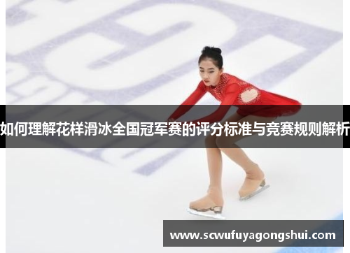 如何理解花样滑冰全国冠军赛的评分标准与竞赛规则解析