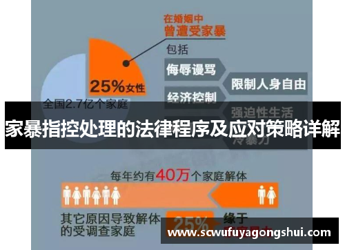 家暴指控处理的法律程序及应对策略详解