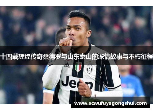 十四载辉煌传奇桑德罗与山东泰山的深情故事与不朽征程