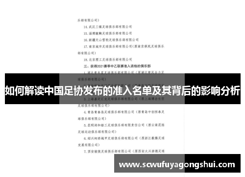 如何解读中国足协发布的准入名单及其背后的影响分析