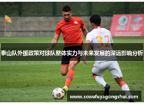 泰山队外援政策对球队整体实力与未来发展的深远影响分析