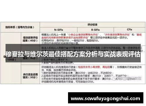 穆夏拉与维尔茨最佳搭配方案分析与实战表现评估