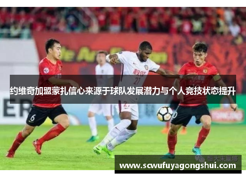 约维奇加盟蒙扎信心来源于球队发展潜力与个人竞技状态提升