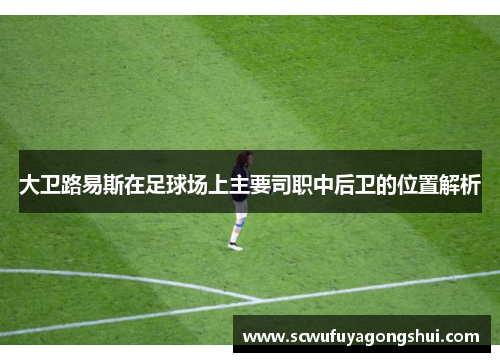 大卫路易斯在足球场上主要司职中后卫的位置解析
